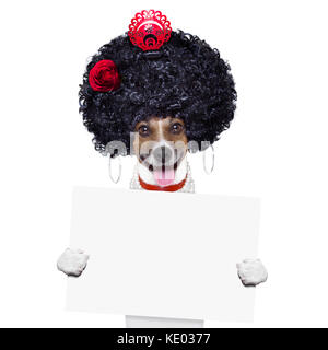 Spanische Flamenco Hund mit sehr grossen lockiges Haar und hand Ventilator hinter banner Plakat Stockfoto