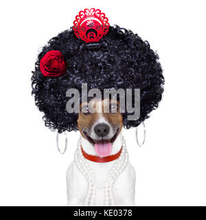 Spanische Flamenco Hund mit sehr grossen lockiges Haar und Lächeln Stockfoto