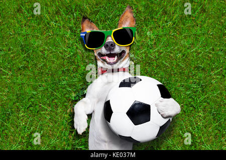 Brasilien Fussball Hund mit einem Ball und lacht laut auf Fußball-Feld Stockfoto