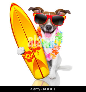 Dumm lustig surfer Hund mit ausgefallenen Surfbrett und Flower Kette Stockfoto