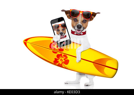 Dumm Lustig Cool surfer Hund Holding fancy Surf Board eine selfie, auf weißem Hintergrund Stockfoto