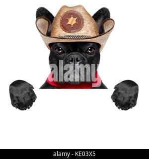 Cool cowboy Hund hinter weißen leeren Banner oder Plakat Stockfoto