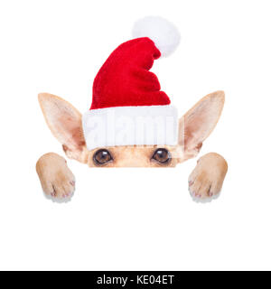 Chihuahua santa claus Hund versteckt sich hinter eine leere leere Plakette oder Banner, für Weihnachten, auf weißem Hintergrund Stockfoto