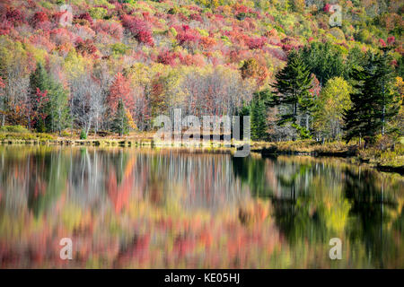 Buntes Herbstlaub auf einem bewaldeten Berghang spiegelt auf der glatten Oberfläche eines Bergsees in der Canaan Valley, West Virginia, USA Stockfoto