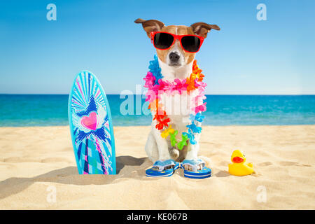 Jack Russell Hund am Strand mit einem Surfbrett mit Sonnenbrille und Flower Kette an der Küste im Sommer Urlaub Ferien Stockfoto