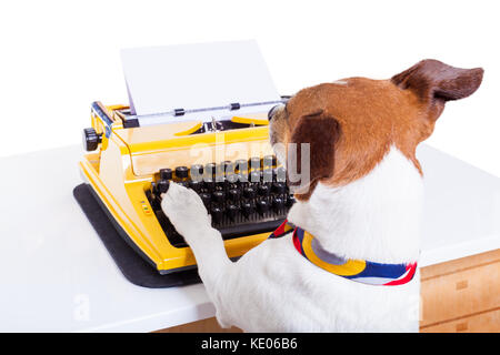 Jack Russell Sekretär hund Tippen auf einer Schreibmaschinentastatur, auf weißem Hintergrund Stockfoto