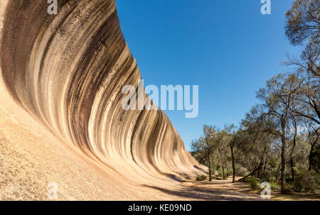 Wave Rock, in der Nähe von Hyden, Western Australia Stockfoto