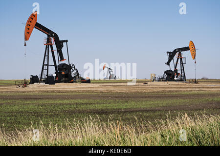 Stoughton, Saskatchewan, Kanada. September 2017. Crescent Point Energy Pumpjacks in der Nähe von Stoughton, Saskatchewan, pumpen Rohöl aus den Viewfield Bakken Oil Pools, einem Teil des Williston Basin. Quelle: Bayne Stanley/ZUMA Wire/Alamy Live News Stockfoto