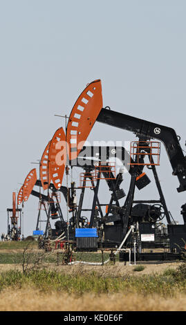 Stoughton, Saskatchewan, Kanada. 18 Sep, 2017 in der Nähe von Crescent Point Energie pumpjacks Stoughton, Saskatchewan, Pumpe Erdöl aus der viewfield bakken Öllachen, Teil von Williston Basin. Credit: bayne Stanley/zuma Draht/alamy leben Nachrichten Stockfoto