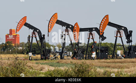 Stoughton, Saskatchewan, Kanada. September 2017. Crescent Point Energy Pumpjacks in der Nähe von Stoughton, Saskatchewan, pumpen Rohöl aus den Viewfield Bakken Oil Pools, einem Teil des Williston Basin. Quelle: Bayne Stanley/ZUMA Wire/Alamy Live News Stockfoto