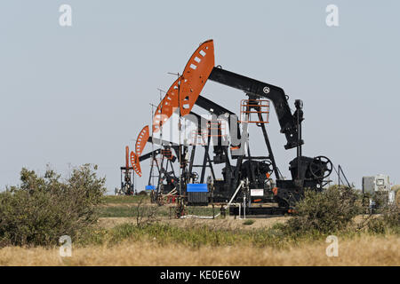 Stoughton, Saskatchewan, Kanada. September 2017. Crescent Point Energy Pumpjacks in der Nähe von Stoughton, Saskatchewan, pumpen Rohöl aus den Viewfield Bakken Oil Pools, einem Teil des Williston Basin. Quelle: Bayne Stanley/ZUMA Wire/Alamy Live News Stockfoto