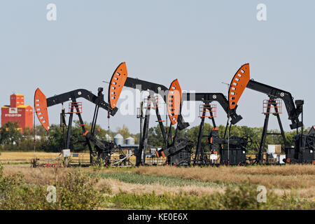 Stoughton, Saskatchewan, Kanada. 18 Sep, 2017 in der Nähe von Crescent Point Energie pumpjacks Stoughton, Saskatchewan, Pumpe Erdöl aus der viewfield bakken Öllachen, Teil von Williston Basin. Credit: bayne Stanley/zuma Draht/alamy leben Nachrichten Stockfoto