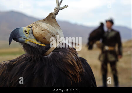 Eagle + Eagle Hunter (Kirgisistan). Stockfoto