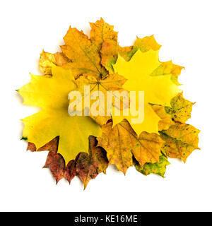 Haufen bunter Herbst maple leaf auf weißem Hintergrund
