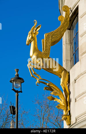 London, England, Vereinigtes Königreich. South Africa House, Trafalgar Square. Vergoldete Springbok (Sir Charles Thomas Wheeler, c1935) Stockfoto