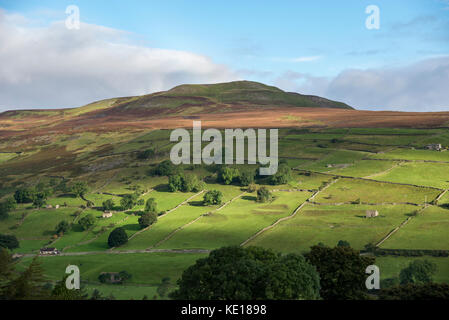 Calver Hill in der Nähe von reeth in Swaledale, Yorkshire Dales, England. Stockfoto