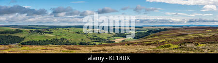 Geheftete Panorama der unteren Swaledale in den Yorkshire Dales. Blick von Mauren über Grinton in Richtung Richmond. Stockfoto