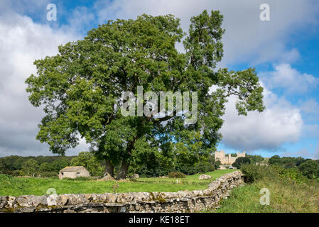 Bolton Castle im Dorf Castle Bolton, wensleydale, North Yorkshire, England. Stockfoto