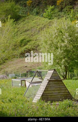 Hausgemachte mobile Geflügel Haus auf einem Bauernhof, Wales, Großbritannien Stockfoto