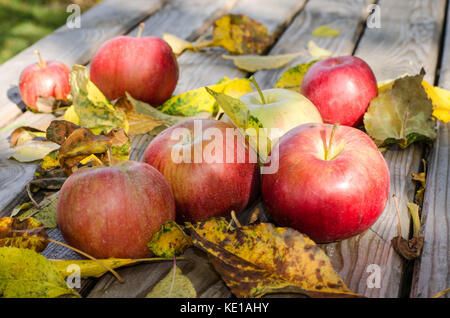 Rote Äpfel liegen auf dem Holztisch Stockfoto