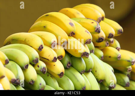 Bananen in einem Markt, der von Spanien Stockfoto