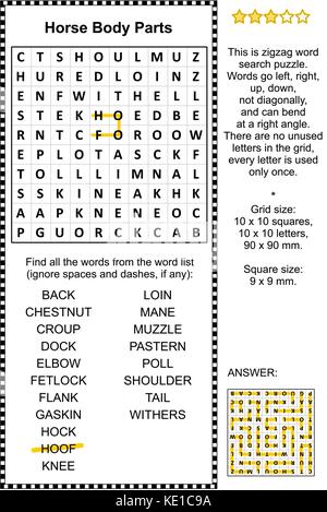 Pferd Körperteile themed Zickzack Word Search Puzzle (geeignet sowohl für Kinder und Erwachsene). Antwort enthalten. Stock Vektor