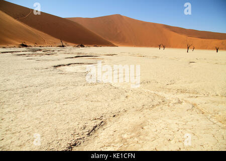 Salzpfanne im Deadvlei, Sossusvlei, Namib Naukluft National Park, Wüste Namib, Namibia, Afrika. Stockfoto