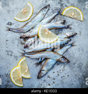 Frische Fische fangen shishamo voll Eier flach auf schäbige Metall Hintergrund. shishamo Fisch ist Fisch für die japanische Küche kochen Tempura. Frische sh Stockfoto