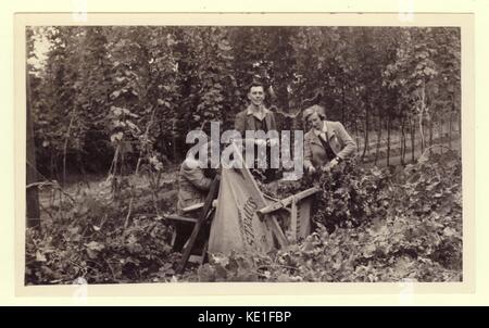 Originalfoto aus der Zeit der 1930er Jahre, auf dem Hopfenpflücker Hopfen pflückten und 1936 in „Mülleimer“ oder „Kinderbetten“ legten. Dieses Foto zeigt Arbeiter auf dem Anwesen Kingston Bagpuize in der Nähe von Abingdon, Oxfordshire (zu dieser Zeit war es in der Grafschaft Berkshire). Der Hopfengarten gehörte der Berkshire Hop Company, die die Gärten 1936 vom ehemaligen Besitzer des Anwesens Edward Strauss kaufte. Stockfoto