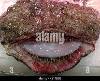 Monströse Seeteufel Kopf mit geöffnetem Mund Stockfoto
