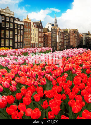 Häuser von Amsterdam, Niederlande Stockfoto