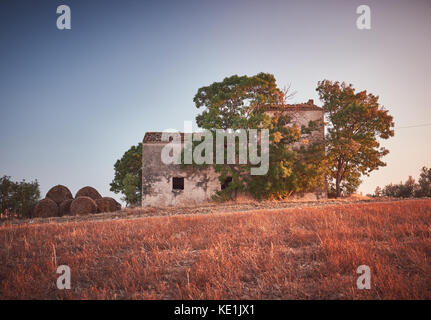 Ländliche Landschaft, altes Bauernhaus mit Olivenbäumen, Italien Stockfoto