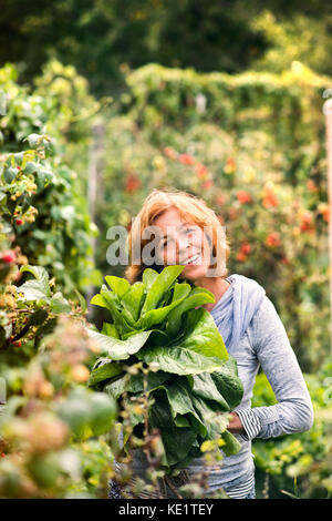 Glücklichen gesunden älteren Frau ernten Gemüse auf Zuteilung. Frau im Garten arbeiten. Stockfoto