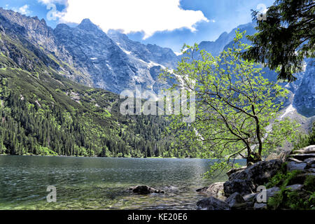 Morskie Oko See mit Felsen unter Wasser in Tatra, Polen. Stockfoto