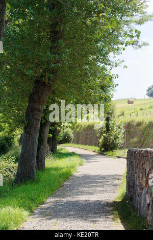 Küste von Asturien und Kantabrien mit seinen Klippen und Architektur und seiner Fauna Stockfoto