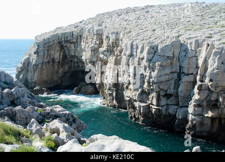 Küste von Asturien und Kantabrien mit seinen Klippen und Architektur und seiner Fauna Stockfoto