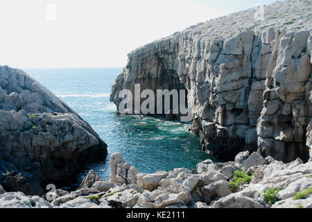 Küste von Asturien und Kantabrien mit seinen Klippen und Architektur und seiner Fauna Stockfoto