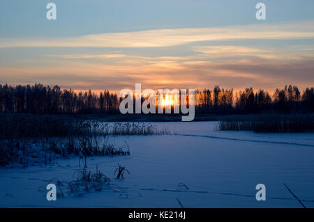 Helle, Winter, Morgen Sonnenaufgang in Lettland Sumpf. Stockfoto