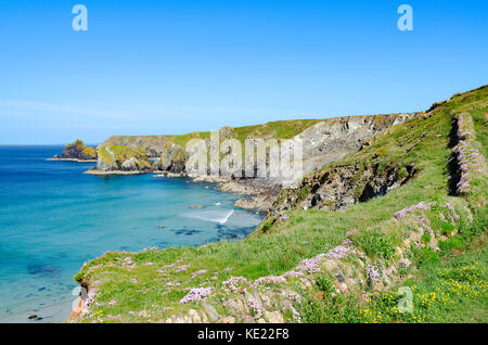 Der südwestlichen Küste Fußweg auf der Lizard Halbinsel in Cornwall, England, Großbritannien, Großbritannien. Stockfoto