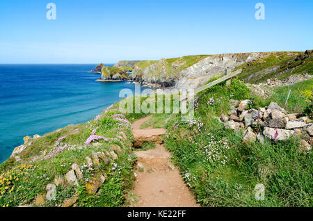 Southwest Coast Path auf der Lizard Halbinsel in Cornwall, England, Großbritannien, Großbritannien. Stockfoto