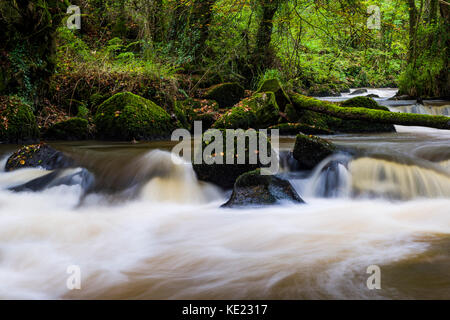 Luxulyan Woods, luxulyan Tal, St Austell, Cornwall, Großbritannien. Laub und geschwollene Flüsse im Herbst regnet in Cornwall. Stockfoto