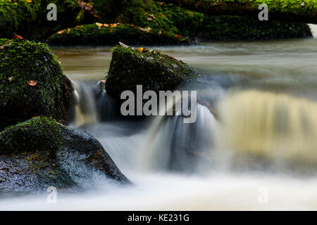 Luxulyan Woods, luxulyan Tal, St Austell, Cornwall, Großbritannien. Laub und geschwollene Flüsse im Herbst regnet in Cornwall. Stockfoto