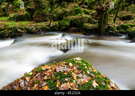 Luxulyan Woods, luxulyan Tal, St Austell, Cornwall, Großbritannien. Laub und geschwollene Flüsse im Herbst regnet in Cornwall. Stockfoto