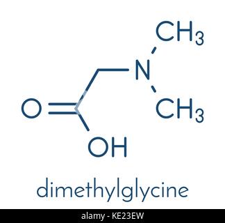 Dimethylglycine (dmg) Molekül. methyliertes Derivat von Glycin, in leistungssteigernden Nahrungsergänzungsmitteln verwendet. Skelettmuskulatur Formel. Stock Vektor