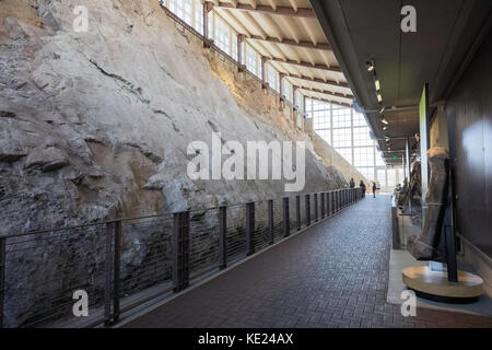 Dinosaur Steinbruch aufweisen, Dinosaur National Monument, Utah, USA Stockfoto