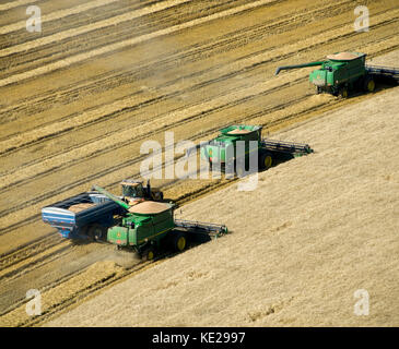 Luftaufnahme von drei John Deere Mähdrescher ernten 95 - 100 bu. Weizen in Texas Panhandle Stockfoto