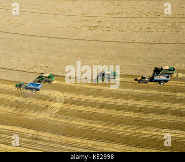Luftaufnahme von drei JOHN DEERE MÄHDRESCHER ERNTEN 95 - 100 BU. Weizen IN TEXAS PANHANDLE Stockfoto