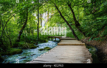 Promenade durch den Wald führenden Wasserfall in galovac Wasserfall im Nationalpark Plitvicer Seen Nationalpark zu galovac, Kroatien Stockfoto