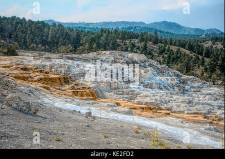 August 22, 2017 - mamoth Hot Spring suchen Sie in der Nähe der Eingang Nord Nationalpark Yellowstone Stockfoto