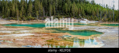 August 22, 2017 - norris Geyser Basin im Yellowstone National Park. Stockfoto